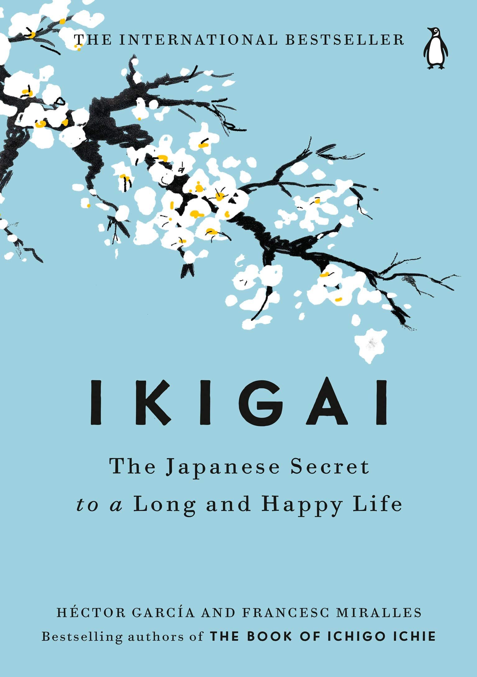 Ikigai summary